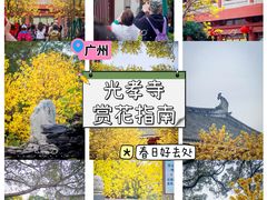 -光孝寺