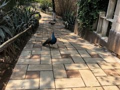 -昆明动物园