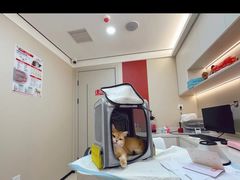 -御宝贝24h宠物医院·转诊中心·CT核磁血透中心(厦门总院)