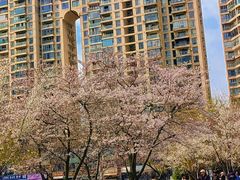 -西北湖绿化广场