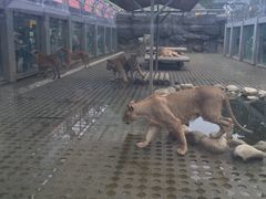 -西安秦岭野生动物园