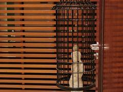 -丽思卡尔顿酒店泳池(金融街店)