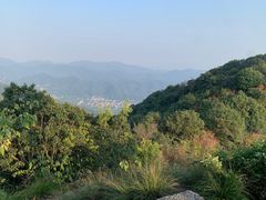 -龙坞茶村