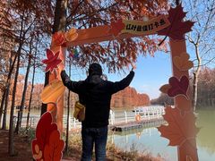 -上海海湾国家森林公园