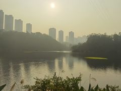 -重庆彩云湖湿地公园