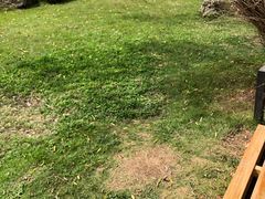 -祥源·阜阳生态乐园