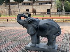 -辛玛王国游乐园