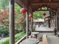 -宁波浙东大竹海景区