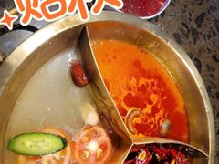 -小龙坎老火锅(鹤伴一路店)