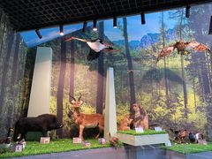 -房山世界地质公园博物馆