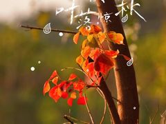 -青龙山国家森林公园