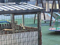 -瑞阁温泉酒店温泉中心