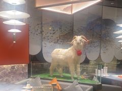 -百草滩羊清水涮羊肉·清真·宁夏盐池滩羊(莲花桥店)