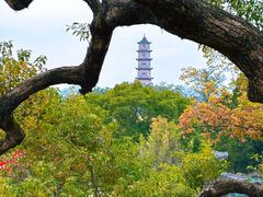 -江心屿景区