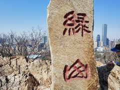 -富斯特索道