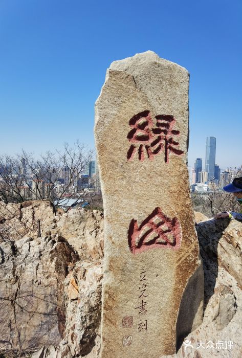 富斯特索道图片