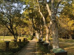 -杭州植物园