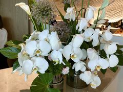 -茉里粤菜(皇姑万象汇店)