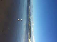 澳大利亚黄金海岸-黄金海岸
