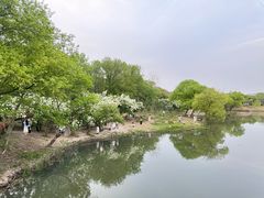 -木守西溪溪隐餐厅