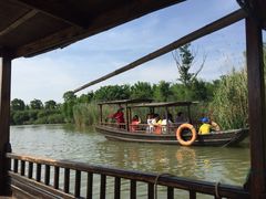 iphone_upload_pic-梁鸿国家湿地公园