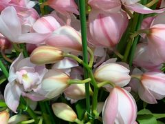 -双季花艺园艺市场(浦东店)