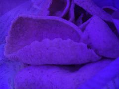 -萧邦音乐会所KTV·蒸汽活海鲜自助(福田店)
