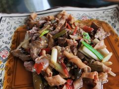 -丁丁厨娘