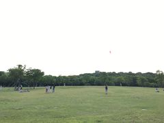 -上海市普陀区中心医院
