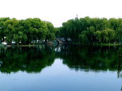 -百脉泉景区