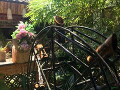 -园林美食城·本土农家菜(杨和镇店)