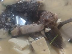-煲来饱去冷水鱼