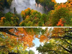 -光雾山旅游景区
