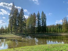 -黄海国家森林公园