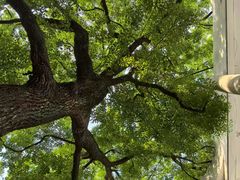 -湖北美术学院(昙华林校区)