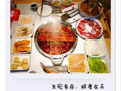 -井格重庆火锅(友谊路新业广场店)