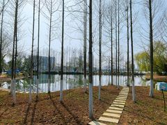 -金银湖国家城市湿地公园