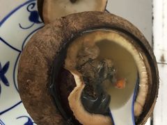 -達揚原味燉品(文明路店)