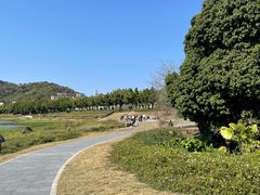 -风云岭森林公园