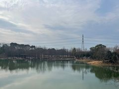 -梁鸿国家湿地公园