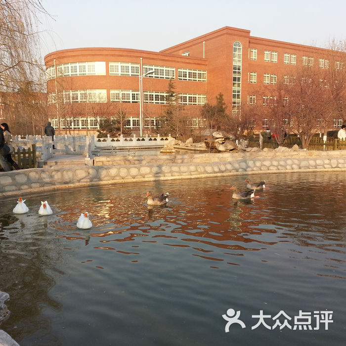 海淀外国语实验学校教学楼图片-北京其他院校-大众点评网