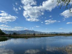 -野鸭湖国家湿地公园