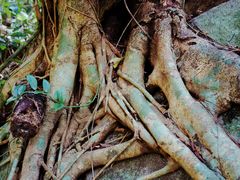 -七仙岭温泉国家森林公园