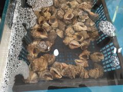 -四海鲜渔家菜(黄金海岸店)