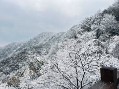 -紫藤园·天目湖大鱼头(南山竹海店)