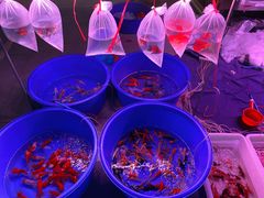 -华声天桥民俗文化园