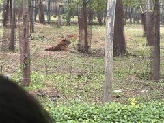 -秦皇岛野生动物园