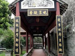 -碧江金楼