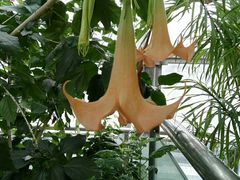 -北京植物园-展览温室