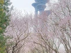 -北京奥林匹克公园